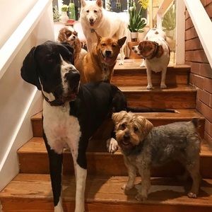 Meet your Posher, Sue